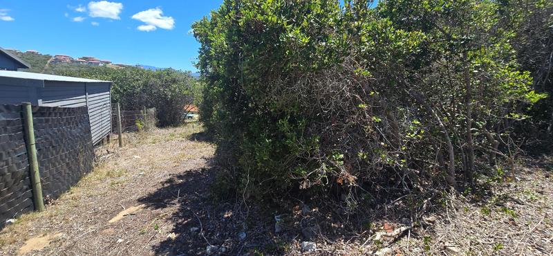 0 Bedroom Property for Sale in Groot Brakrivier Central Western Cape